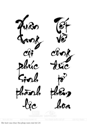 file text cau chuc thu phap nam moi tet 24