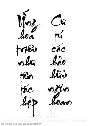 file text cau chuc thu phap nam moi tet 27