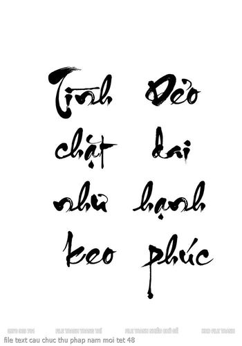 file text cau chuc thu phap nam moi tet 48