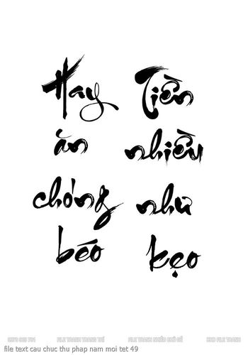 file text cau chuc thu phap nam moi tet 49