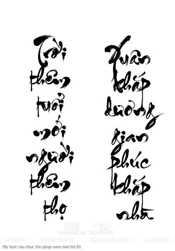 file text cau chuc thu phap nam moi tet 81
