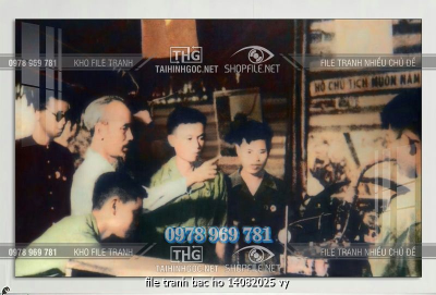 file tranh bac ho 14082025 vy