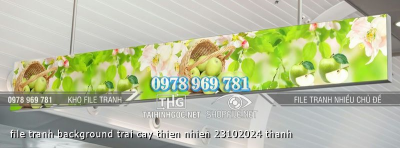 file tranh background trai cay thien nhien 23102024 thanh