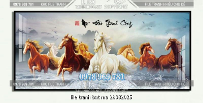 file tranh bat ma 28082025