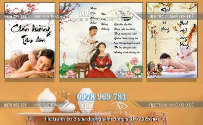 file tranh bo 3 spa duong sinh dong y 1872025 ho
