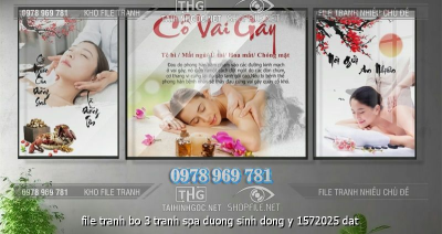 file tranh bo 3 tranh spa duong sinh dong y 1572025 dat
