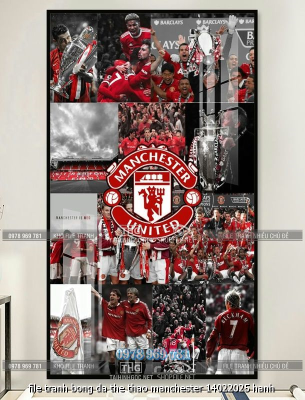 file tranh bong da the thao manchester 14022025 hanh