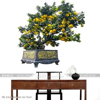 file tranh bonsai cay buoi