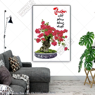 file tranh bonsai hoa giay 13122022 hanh