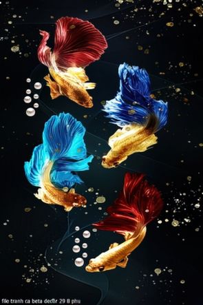 file tranh ca beta decor 29 8 phu file tranh ca beta decor 29 8 phu