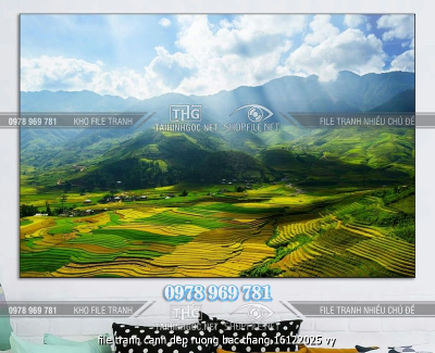 file tranh canh dep ruong bac thang 16122025 vy