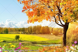 file tranh cay phong vang ben dam ruong