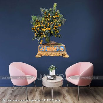 file tranh chau cay buoi tach nen 24112023 phu