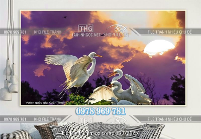 file tranh chim co crane 10072025