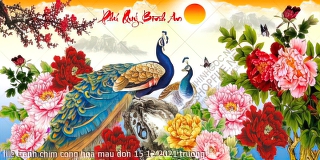 file tranh chim cong hoa mau don 15 12 2021 truong