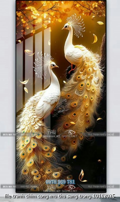 file tranh chim cong mu thu sang trong 10112025