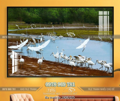 file tranh co 19082025