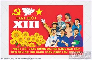 file tranh co dong dai hoi dai bieu toan quoc cac cap