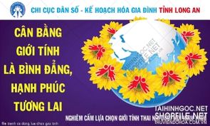file tranh co dong lua chon gioi tinh