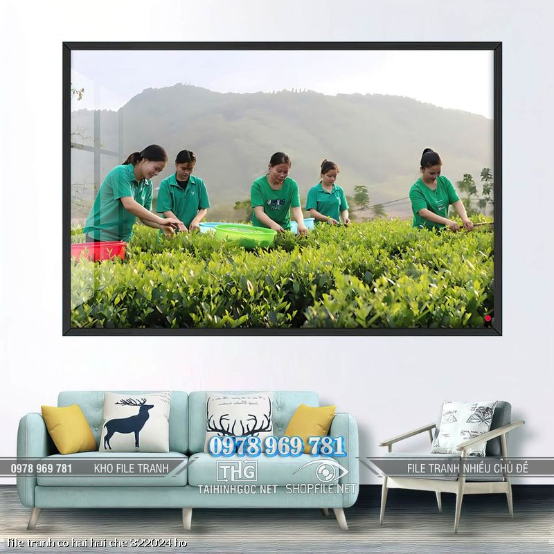 file tranh co hai hai che 322024 ho