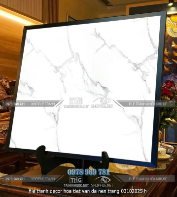 file tranh decor hoa tiet van da nen trang 03102025 h