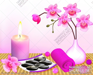 file tranh decor nen thom va dung cu spa