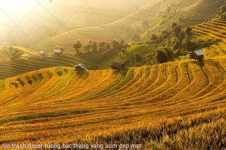 file tranh decor ruong bac thang vang uom dep mat