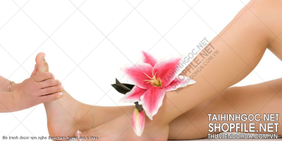 file tranh decor spa nghe thuat bam huyet dao o chan
