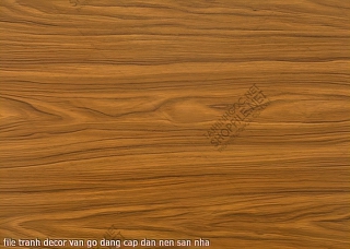 file tranh decor van go dang cap dan nen san nha