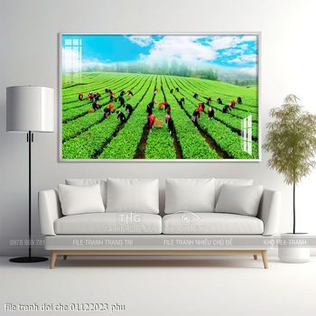 file tranh doi che 01122023 phu