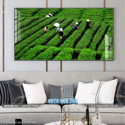 file tranh doi che 1762024 ho