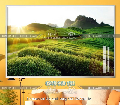 file tranh doi che canh dong che 28022026 ho