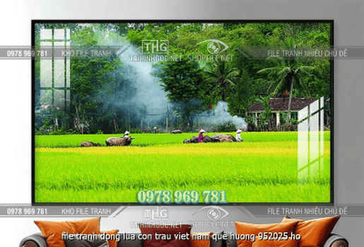 file tranh dong lua con trau viet nam que huong 952025 ho