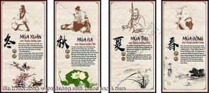 file tranh dong y spa duong sinh thuoc bac 4 mua