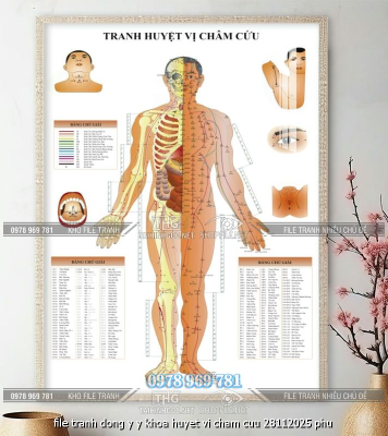 file tranh dong y y khoa huyet vi cham cuu 28112025 phu