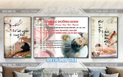 file tranh duong sinh goi dau spa 17072025 nga