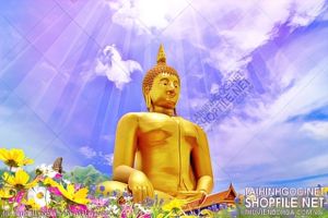 file tranh file goc in tranh phat giao 102