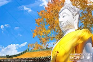 file tranh file goc in tranh phat giao 104