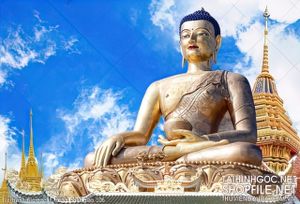 file tranh file goc in tranh phat giao 106