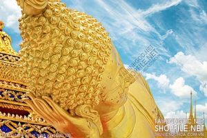 file tranh file goc in tranh phat giao 108