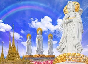 file tranh file goc in tranh phat giao 113