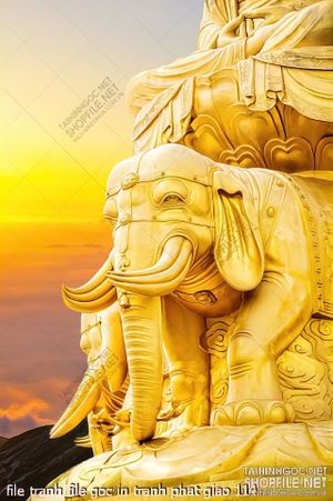 file tranh file goc in tranh phat giao 114