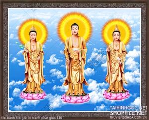 file tranh file goc in tranh phat giao 116