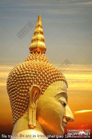 file tranh file goc in tranh phat giao 124