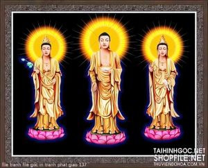 file tranh file goc in tranh phat giao 137