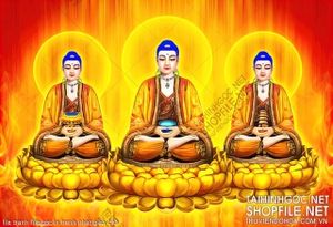 file tranh file goc in tranh phat giao 140