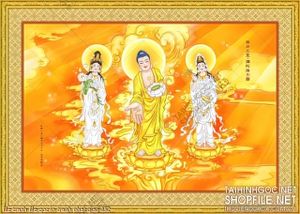 file tranh file goc in tranh phat giao 152