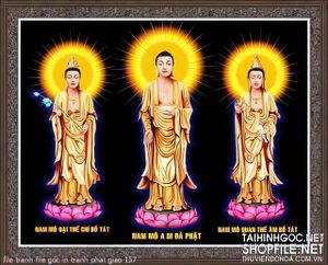 file tranh file goc in tranh phat giao 157