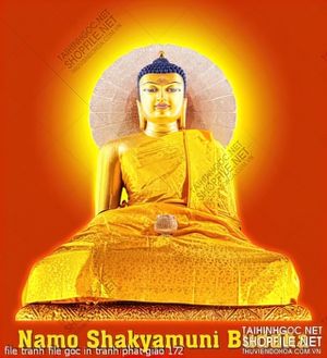 file tranh file goc in tranh phat giao 172