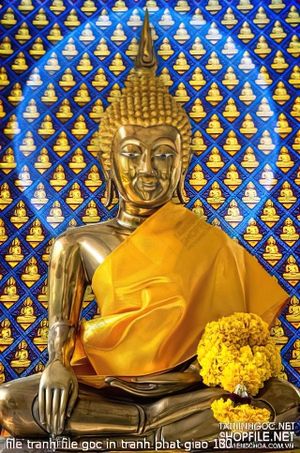 file tranh file goc in tranh phat giao 180